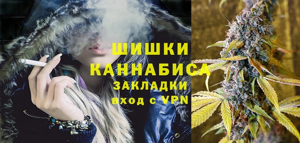 соль ск Белокуриха