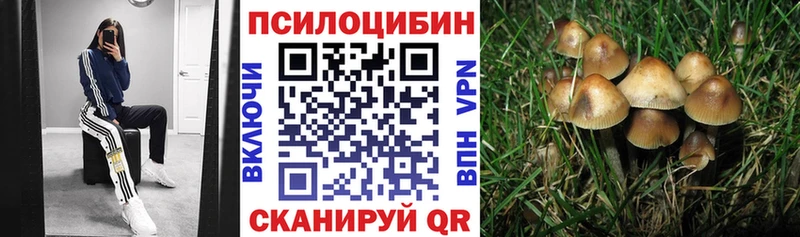 Галлюциногенные грибы ЛСД  Павловск 