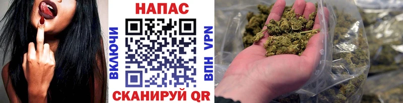 Марихуана VHQ  продажа наркотиков  Павловск 